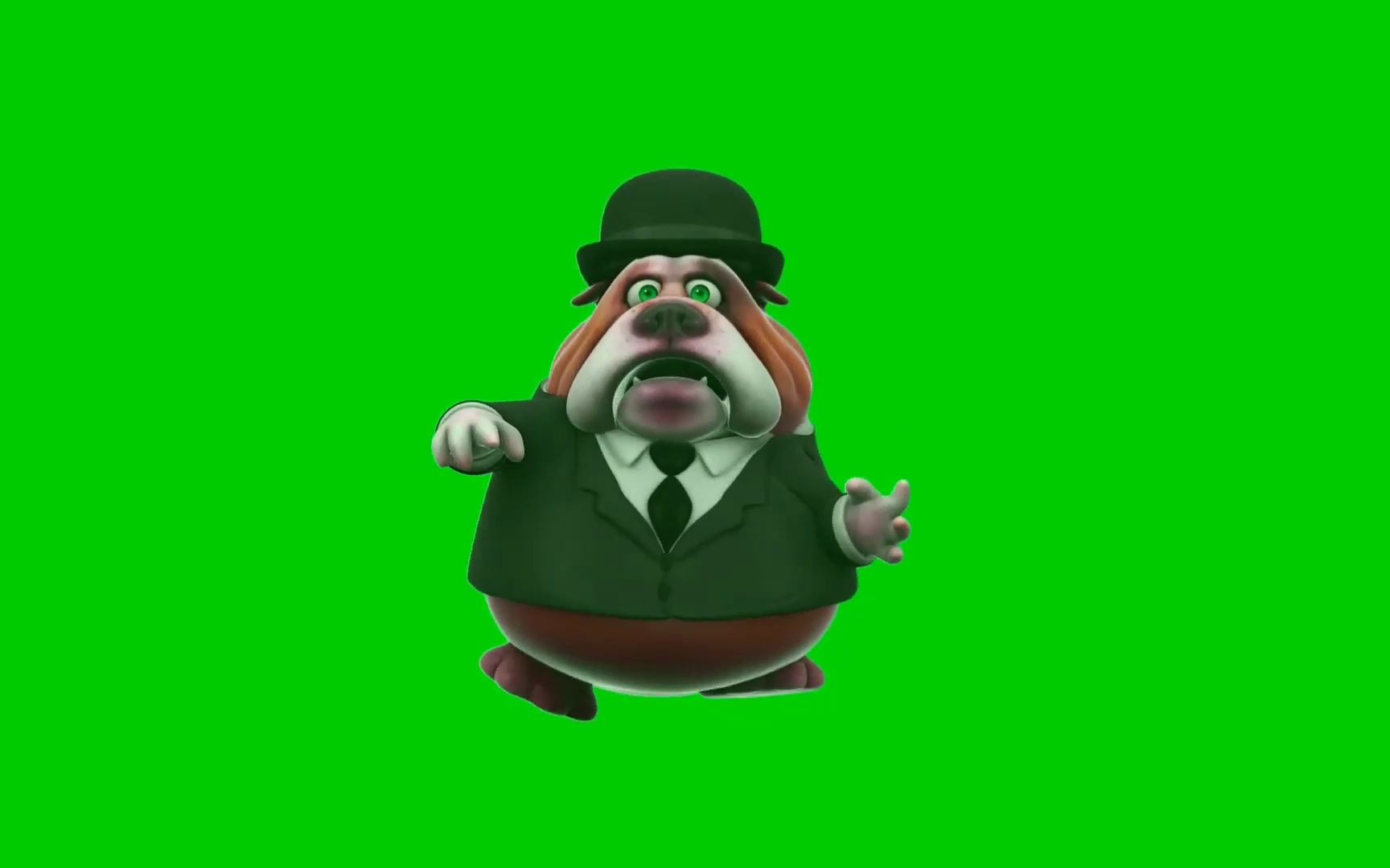 绿幕视频素材沙皮狗