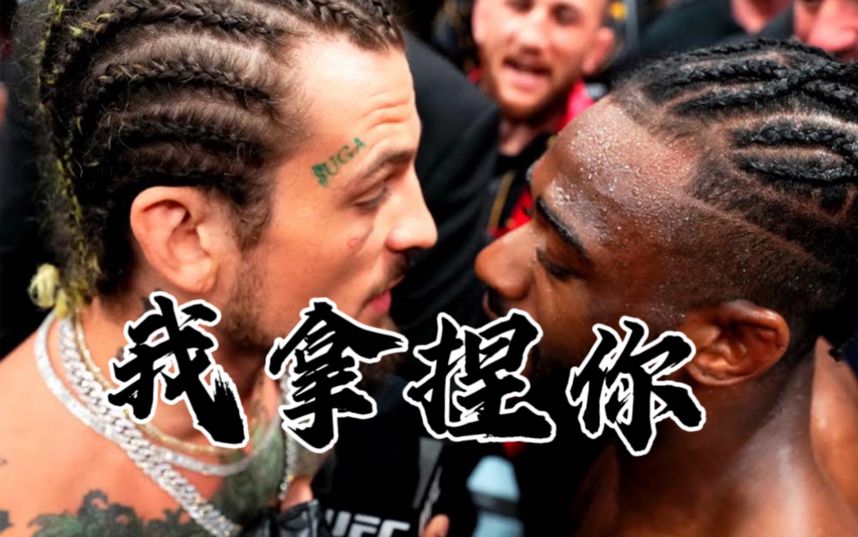 岩直有理#ufc 292"彩虹"大战斯特林前瞻!这次我看好下狗!