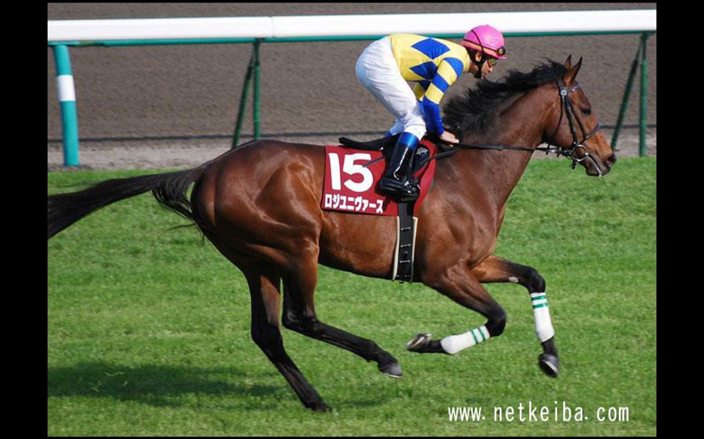 【赛马】2009年经典三冠|皋月赏,日本达比,菊花赏【所向披靡/宇宙无极