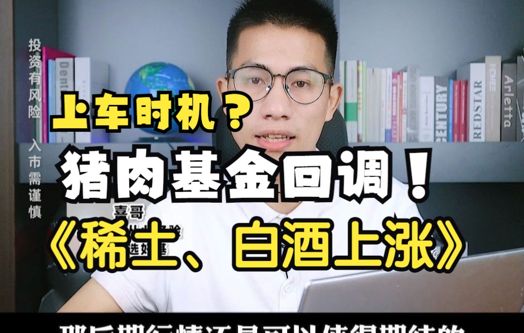 稀土、白酒上涨,猪肉基金迎来回调,是不是可以进场了?哔哩哔哩bilibili