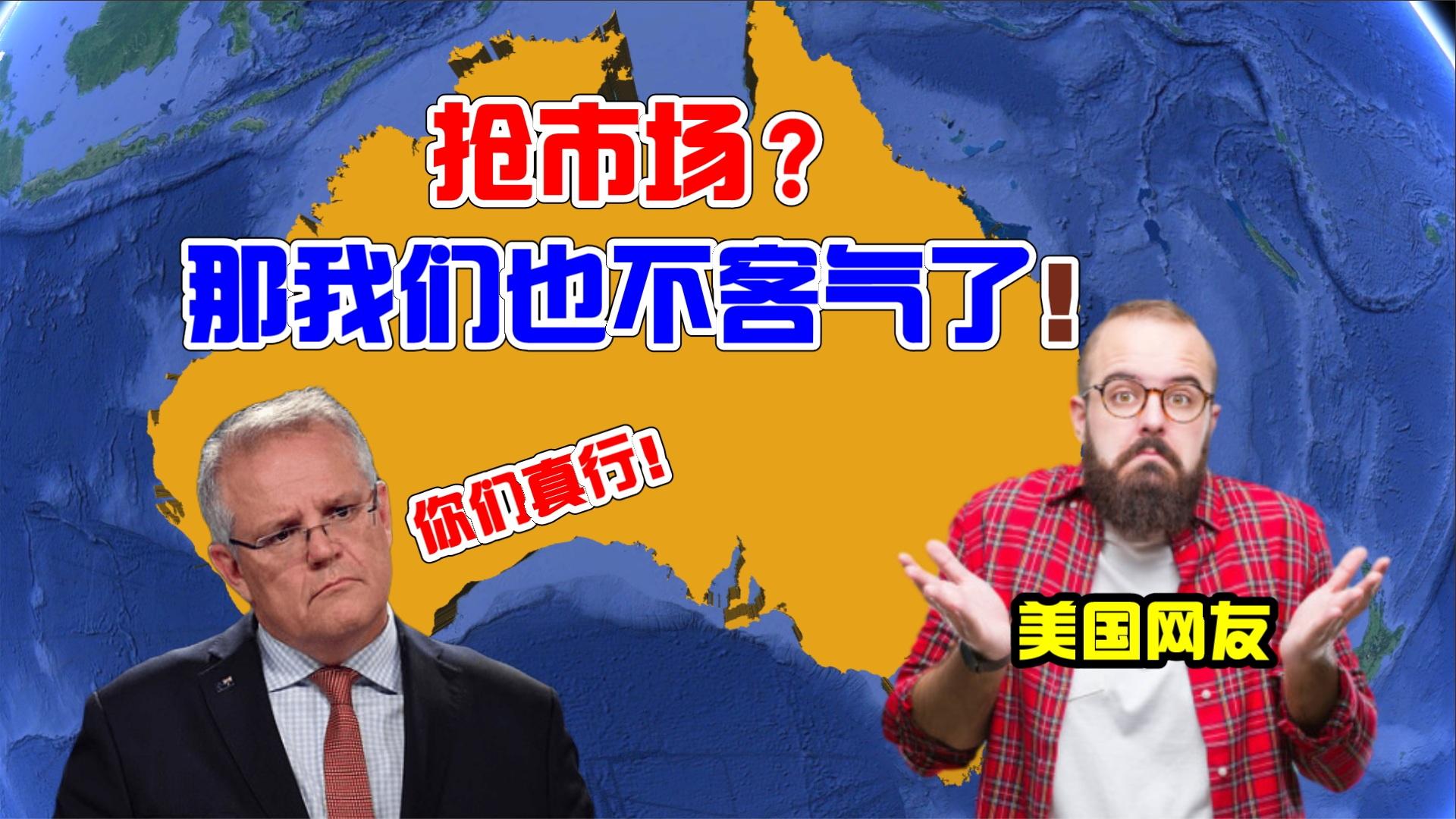 澳洲木材还在苦等,日对华出口却激增51%,美国网友:我们也出口哔哩哔哩bilibili