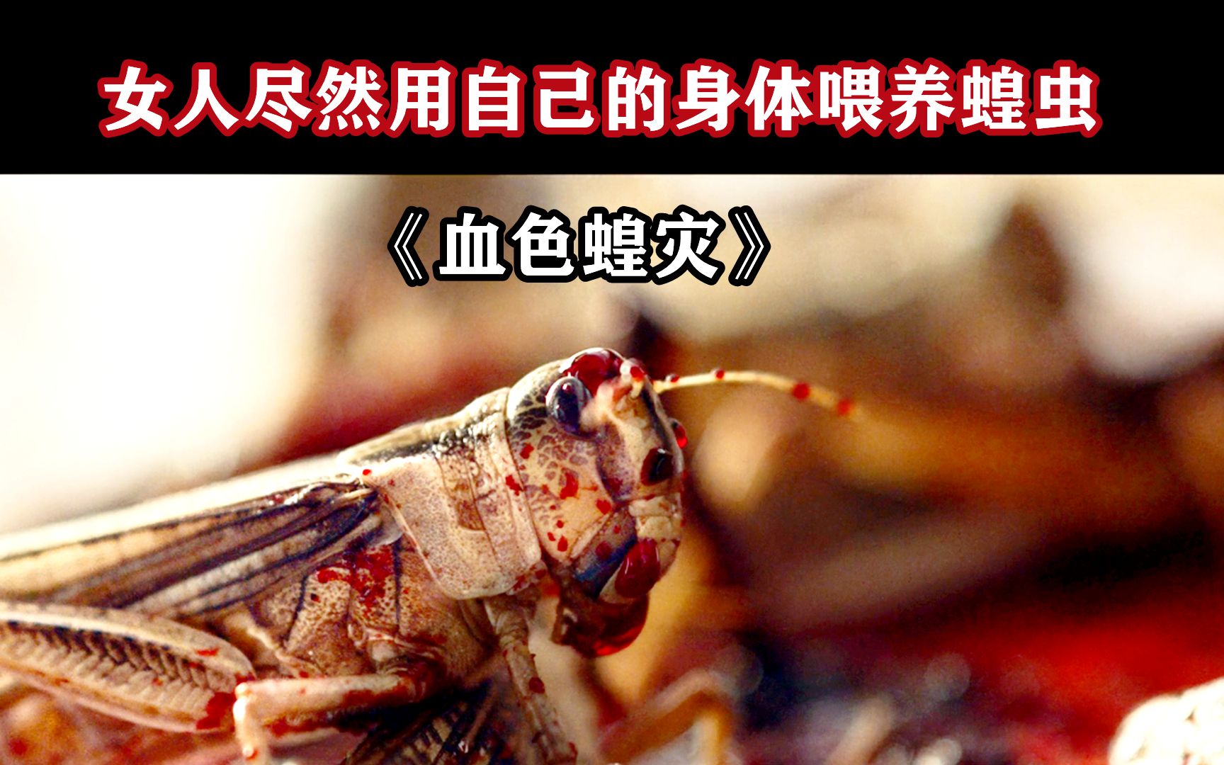 《血色蝗灾》蝗虫尽然喝血才能长大,女人为了饲养它们竟然拿自己喂养