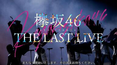 欅坂46 KEYAKIZAKA46「THE LAST LIVE」- DAY 2_哔哩哔哩_bilibili