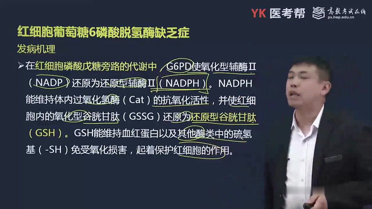 2021年考研西医综合西综隋准内科学精讲第06章 溶血性贫血3