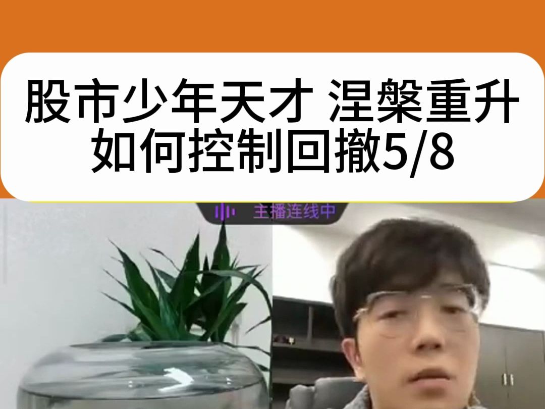 股市天才少年涅槃重升:如何控制回撤?哔哩哔哩bilibili