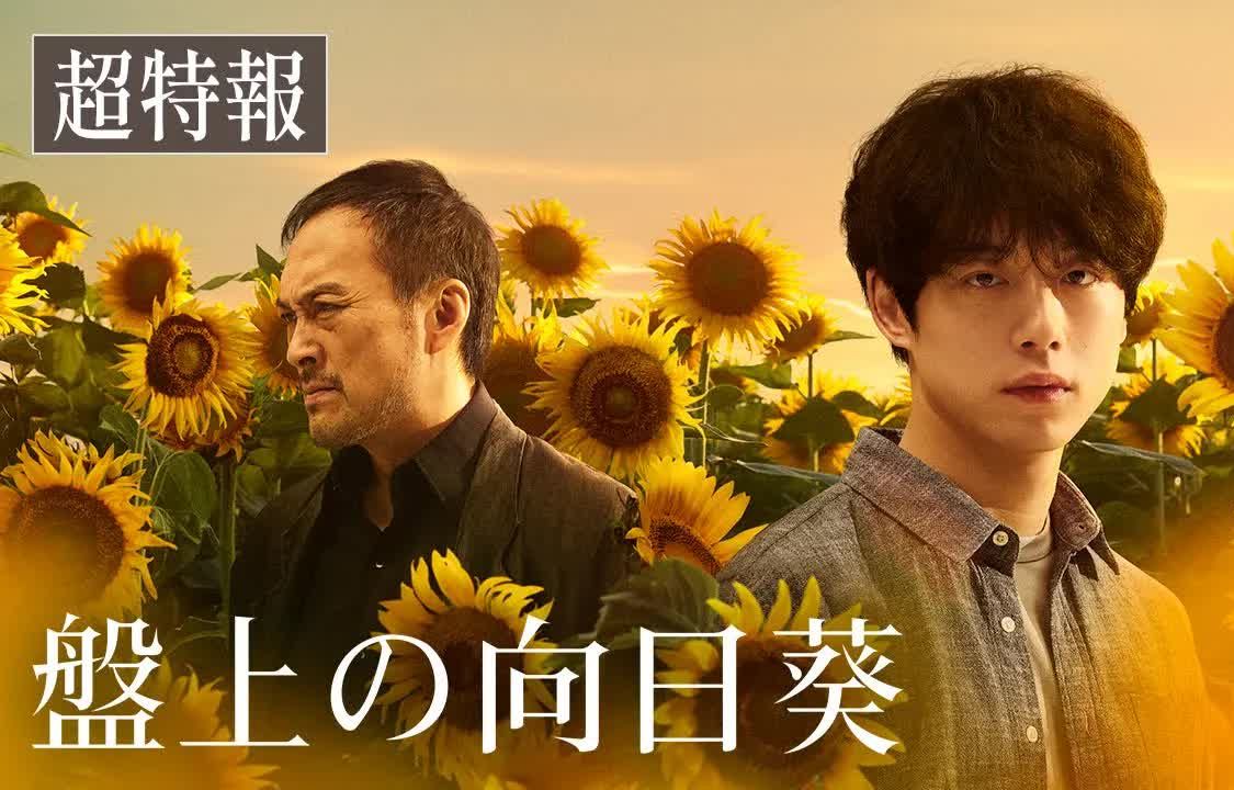 坂口健太郎 渡边谦💥悬疑片《棋盘上的向日葵》先导预告