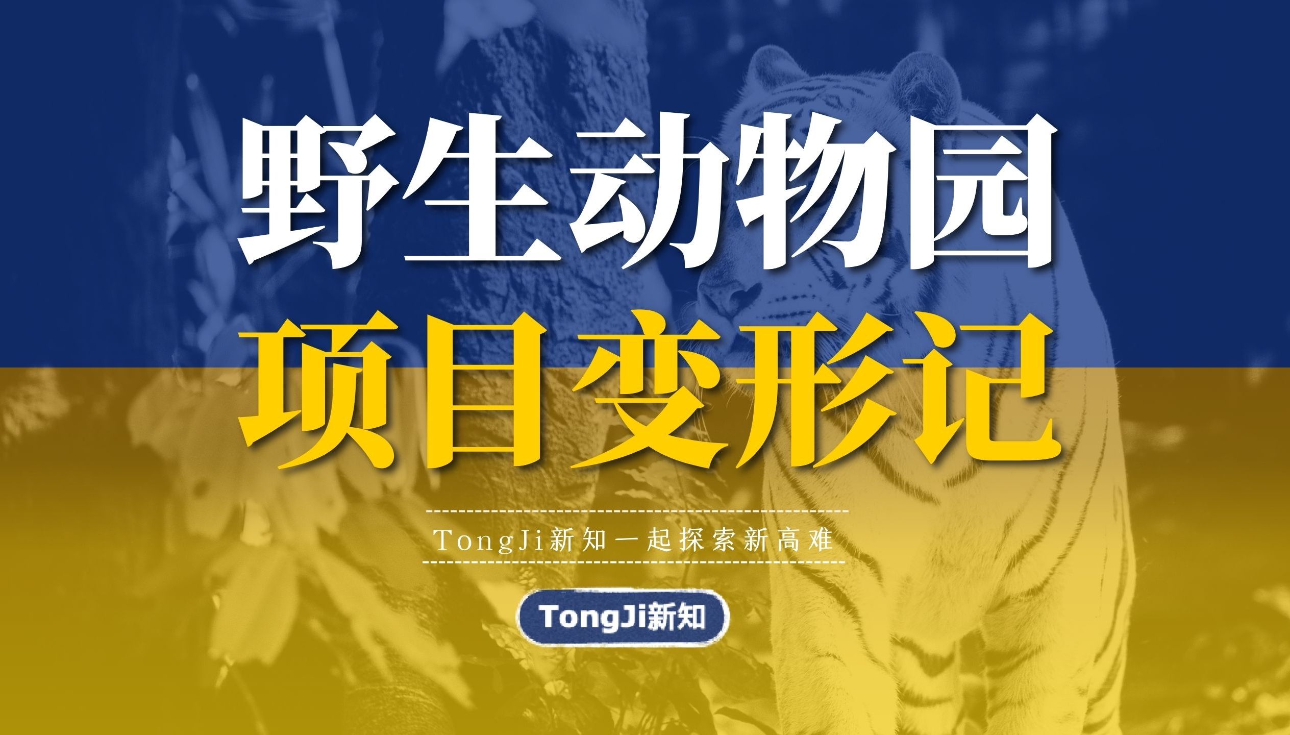 【项目变形记】野生动物园,能报国债吗?优化包装下,怎么变个形?哔哩哔哩bilibili