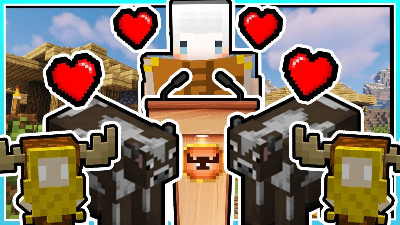 我的世界小白解说生命的准则31 一个自动化农场诞生 我养了可爱小精灵