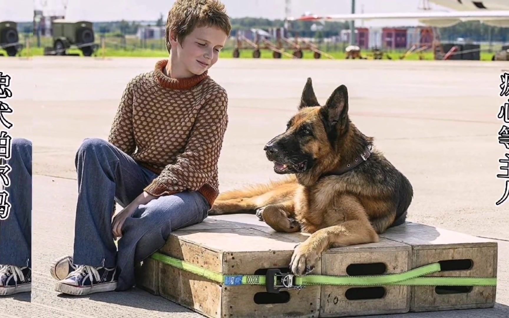 「燕阳说影」电影《忠犬帕尔玛》一人一狗双向奔赴,用真心换真心_哔哩