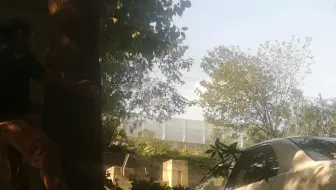 八极拳撞树打桩功力训练