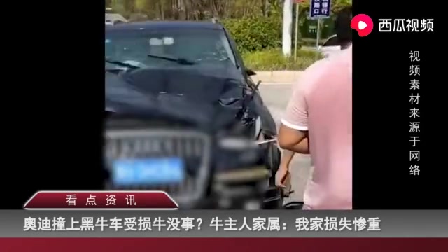 牛撞车?车撞牛?奥迪撞上黑牛车头受损严重 牛却站在一旁 牛主人:它受内伤哔哩哔哩bilibili