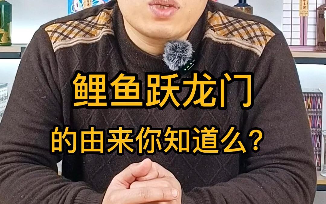 鲤鱼跃龙门的由来你知道么?哔哩哔哩bilibili