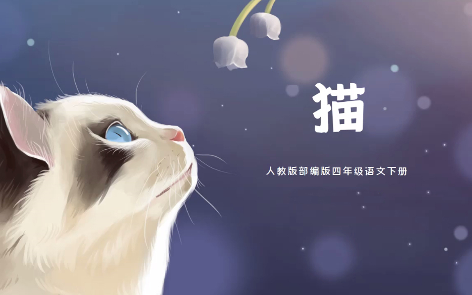 [图]【课件】《猫/郑振铎》YW071092,部编版,,初中,七年级,上册,(YW语文)