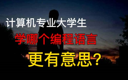 计算机专业的大学生,学哪个编程语言更有意思?哔哩哔哩bilibili