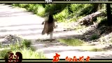 风行烈你哔哩哔哩bilibili