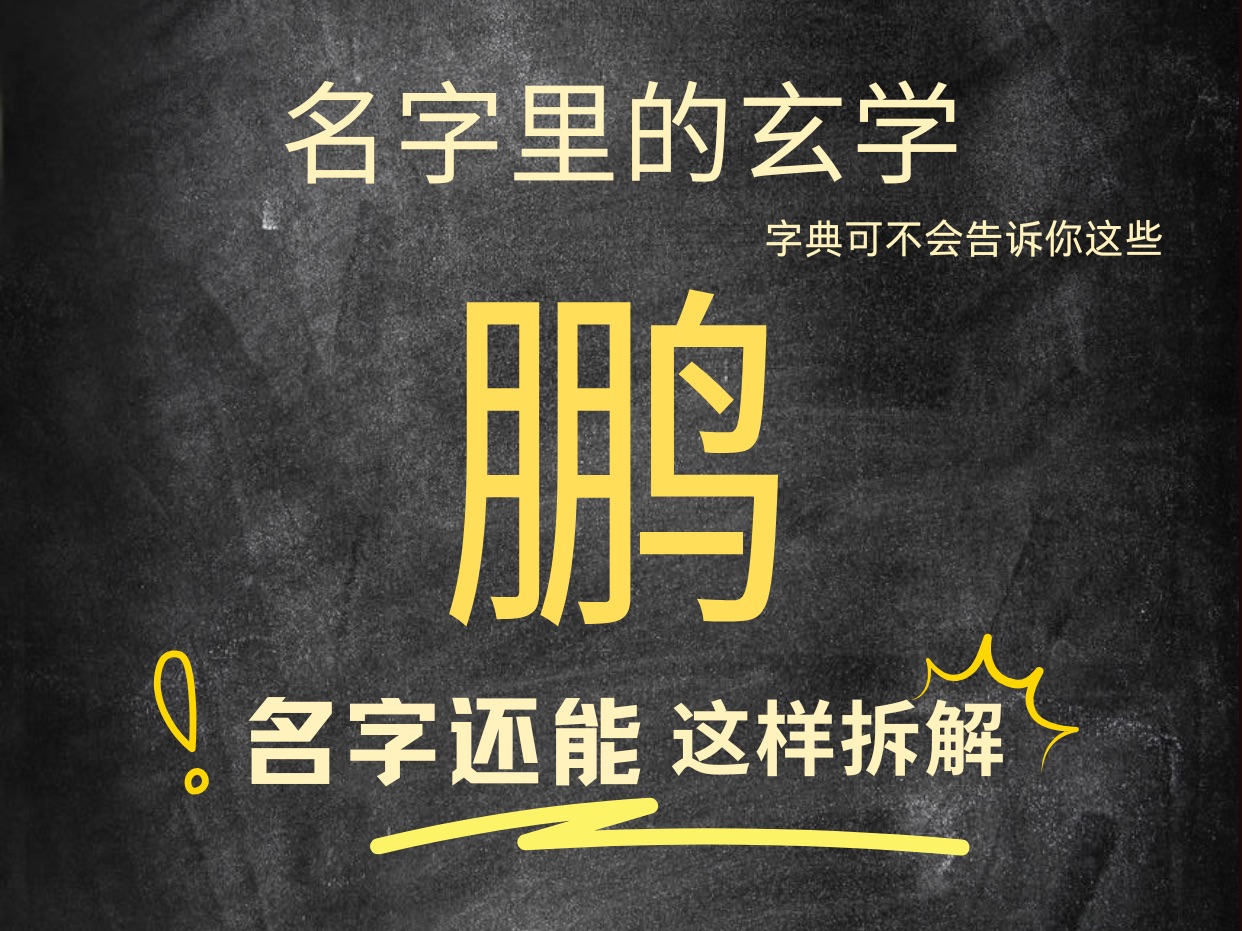 名带鹏字的个人特质和运势.快@你名带鹏字的朋友一起看,让传统文化继续发挥作用.名字伴随人的一生,可不能小瞧哦.哔哩哔哩bilibili