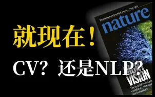 Download Video: 研究生求救！NLP和CV，到底选择哪个方向比较好研究和发paper？