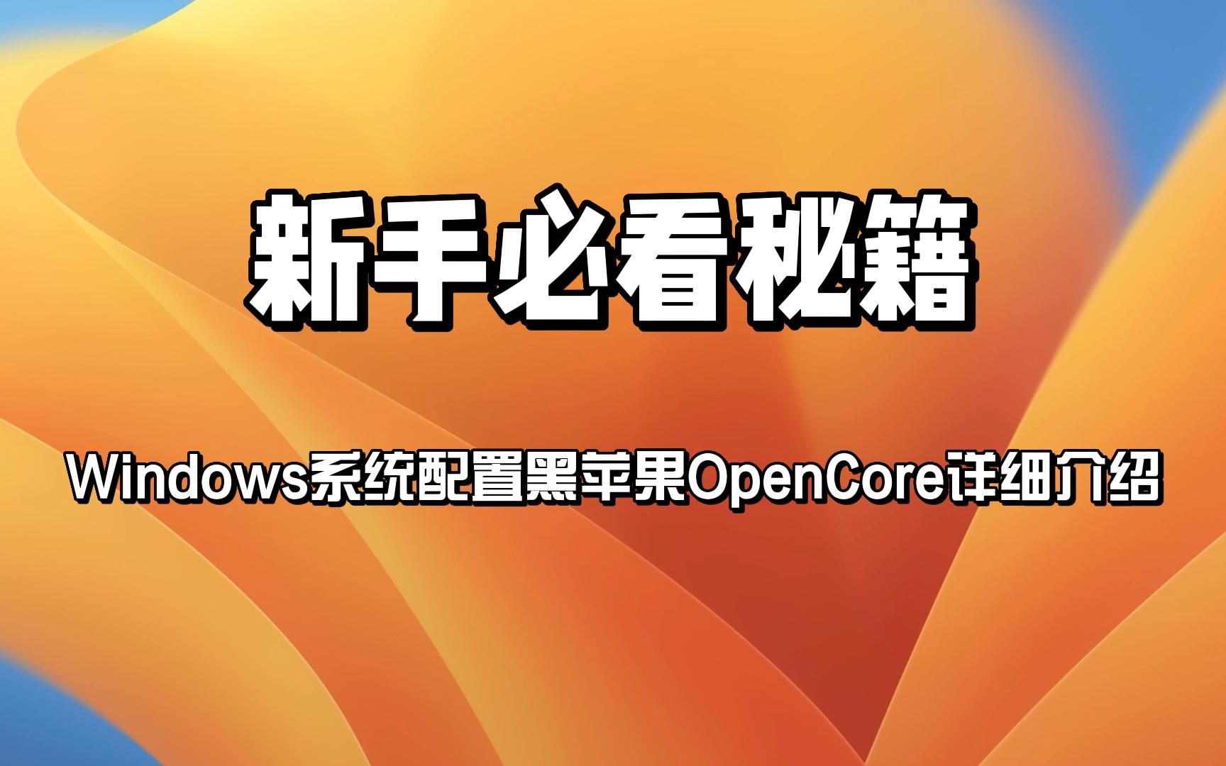 Windows系统配置黑苹果OpenCore详细介绍哔哩哔哩bilibili