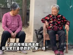 Tải video: 灰宝与奶奶的日常，一人一狗一世界，是宠物更是家人