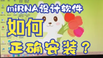 miRNA设计软件的安装教程