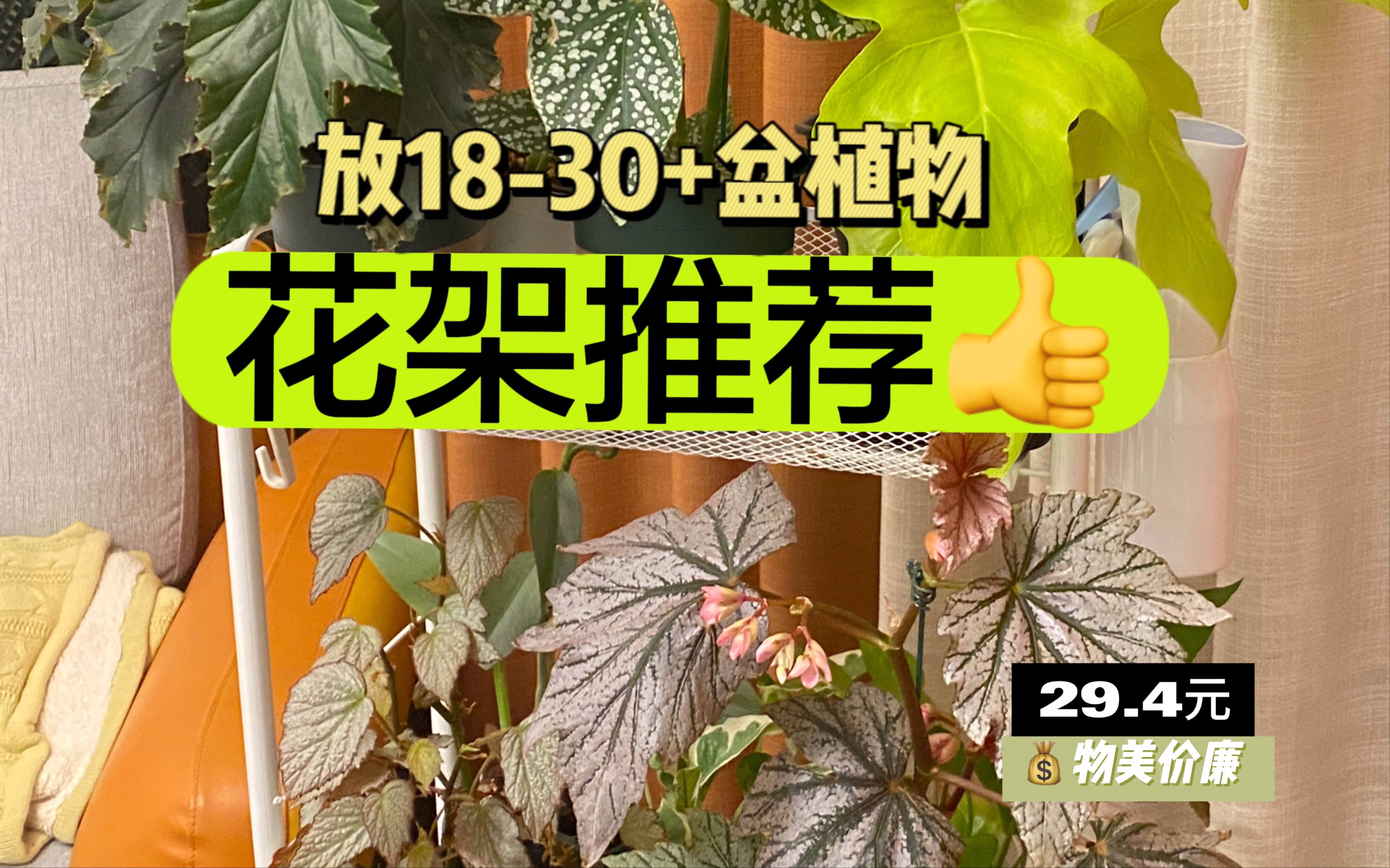 花架推荐2.0 | 放1830+盆植物 ,性价比绝佳,可拆卸,灵活移动,方便调节植物位置,幸福感好物哔哩哔哩bilibili