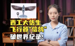 Télécharger la video: 西工大仿生飞行器“信鸽，再破自己创造的世界纪录！