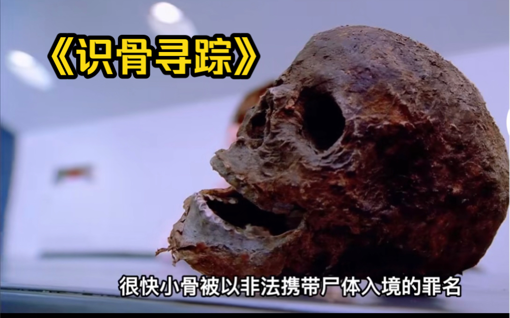 《识骨寻踪》小骨在机场被抓入警局