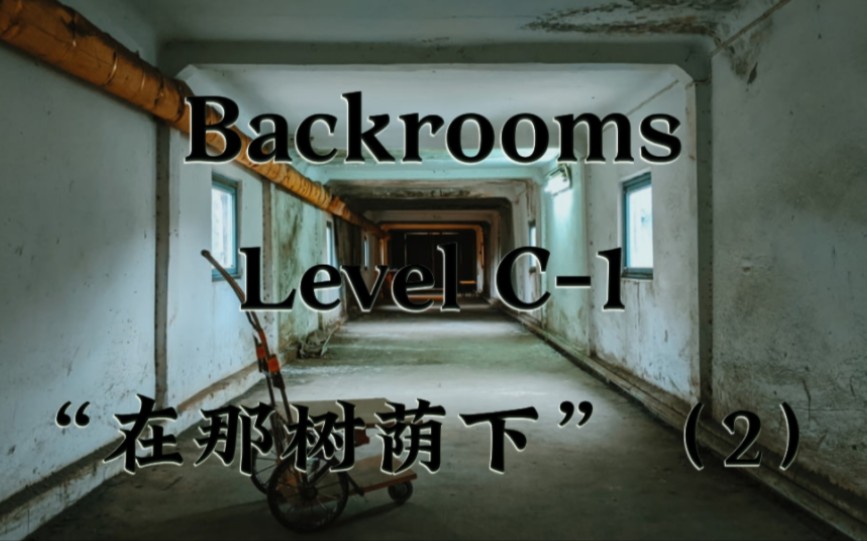 【Backrooms】Level C1 HOMESICK的报告Ⅳ  “在那树荫下”(第二集附录一 ⷠ整合文件与整合序号C1.00)哔哩哔哩bilibili