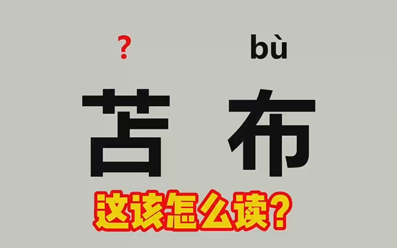 这该怎么读?(孤诣、庖丁、苫布、枢密使),各指什么意思?哔哩哔哩bilibili