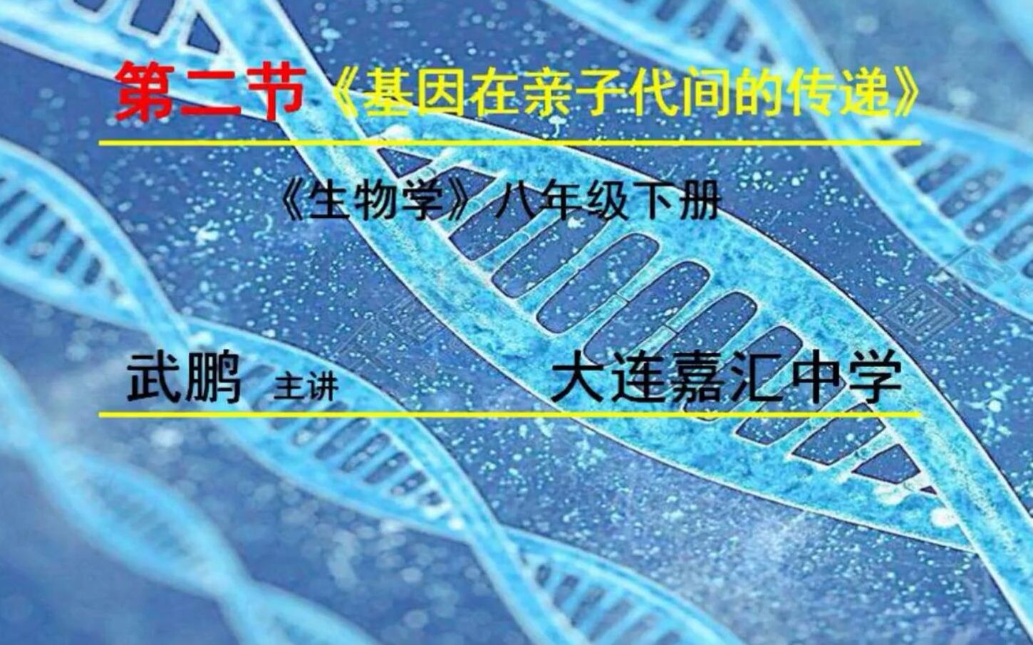 [图]初二生物 6 基因在亲子代间的传递