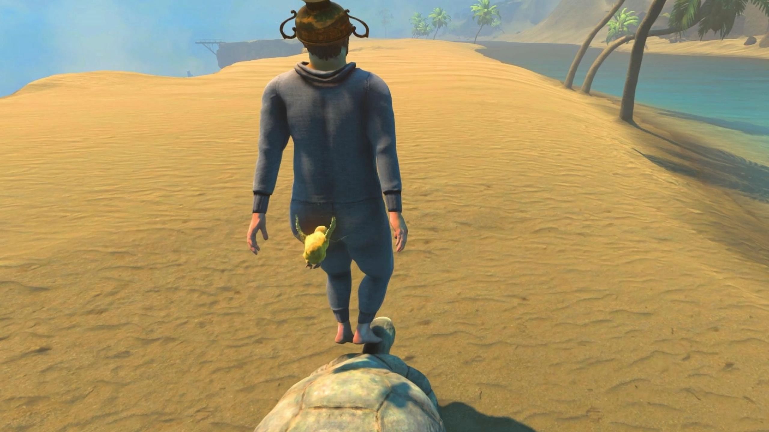 《 滴 滴 打 龟 》