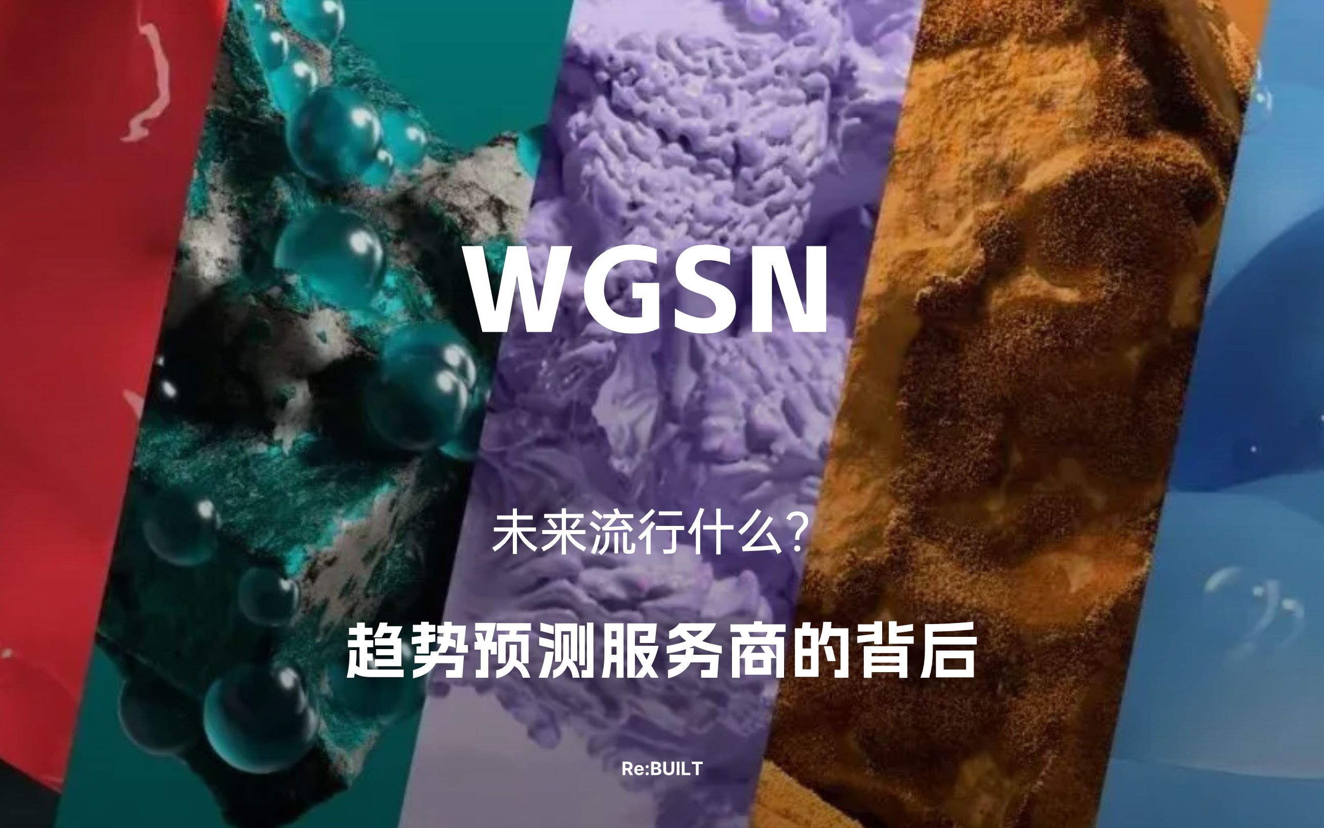 第3集|wgsn的趋势预测服务背后
