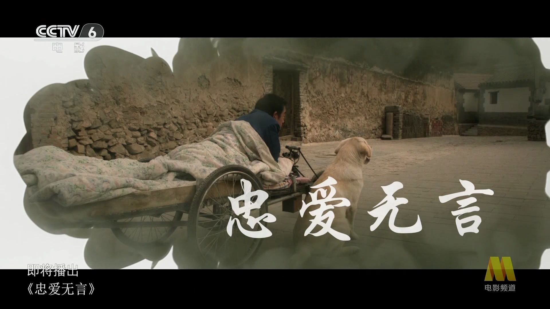 忠爱无言 (2017)2024-06-04_05-43-33-03.27.56.000-seg1