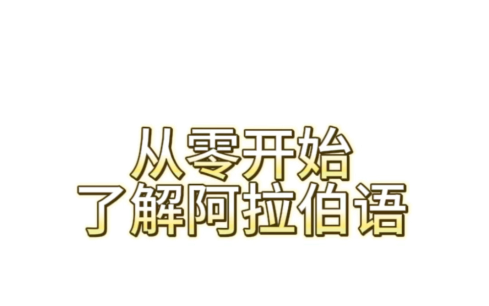 适合想要了解阿拉伯语的小伙伴观看~一起涨知识#阿拉伯语#小语种哔哩哔哩bilibili