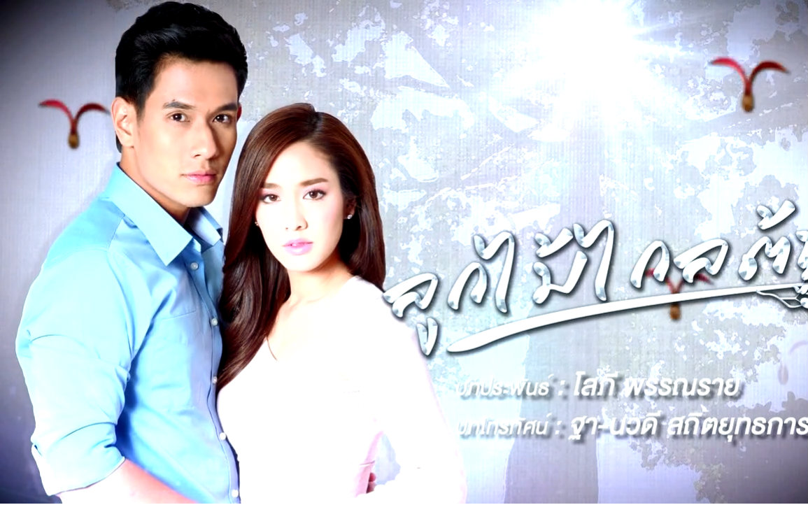 【劫缘2016】泰语无字hd