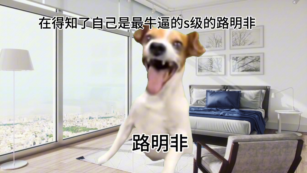 [图]【猫meme】龙族火之晨曦