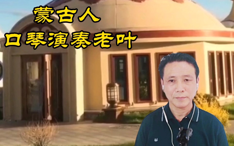 口琴演奏蒙古人f调演奏老叶