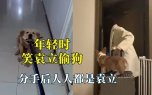 Download Video: 年轻的时候笑袁立偷狗，分手后人人都是袁立