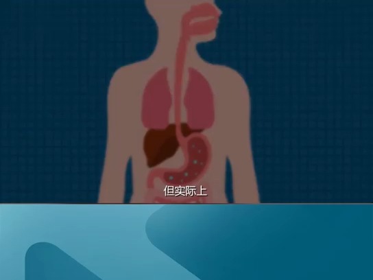 食物不耐受,到底是什么?哔哩哔哩bilibili