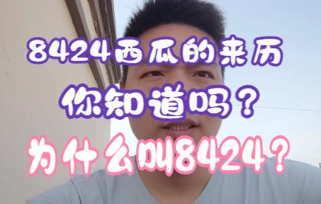 8424西瓜的来历 你知道吗?为什么叫8424?你会辨别它吗?哔哩哔哩bilibili