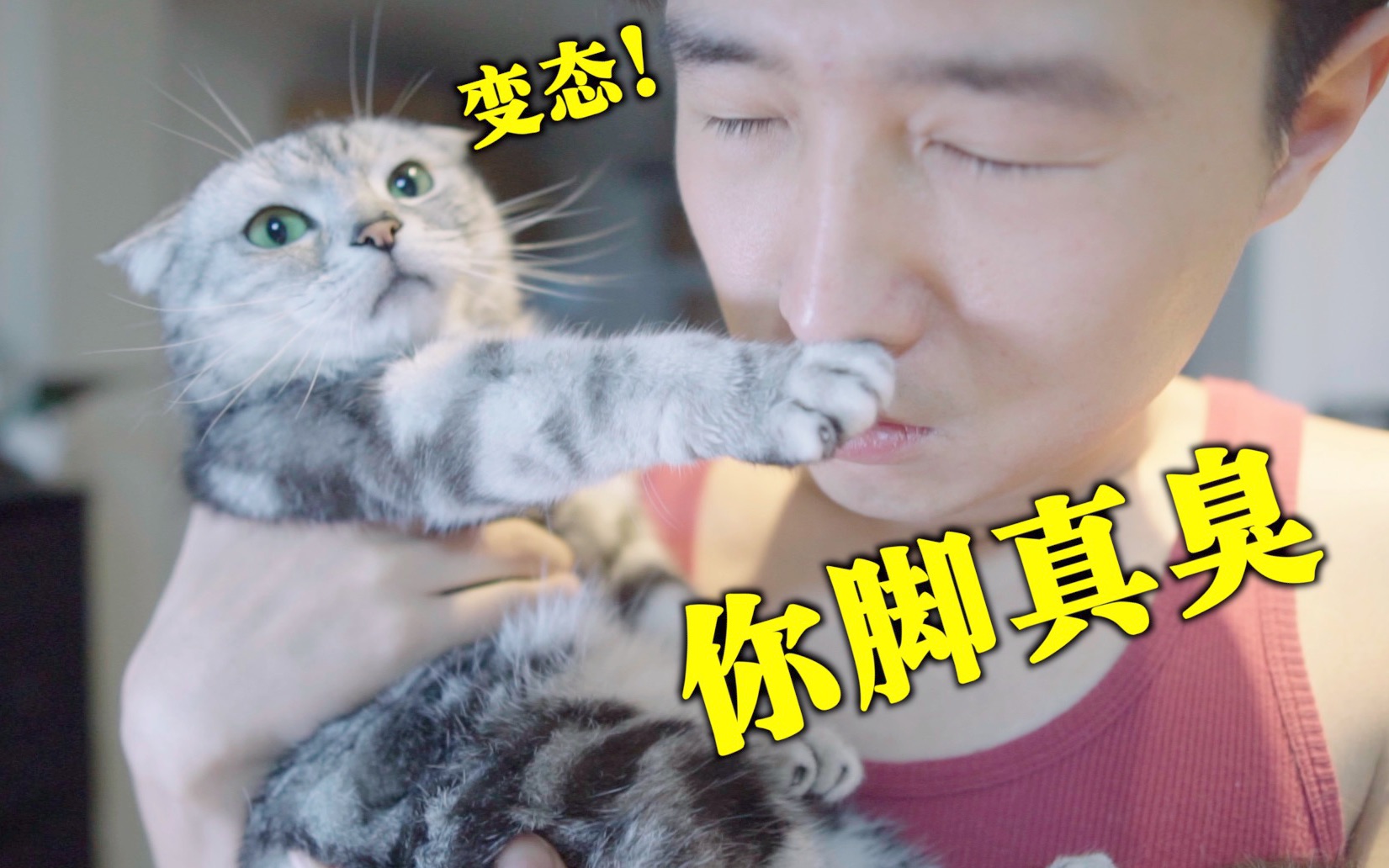 给猫洗屁股时突然脸痒 抓还是不抓?一年没洗澡的猫好骚啊!哔哩哔哩bilibili