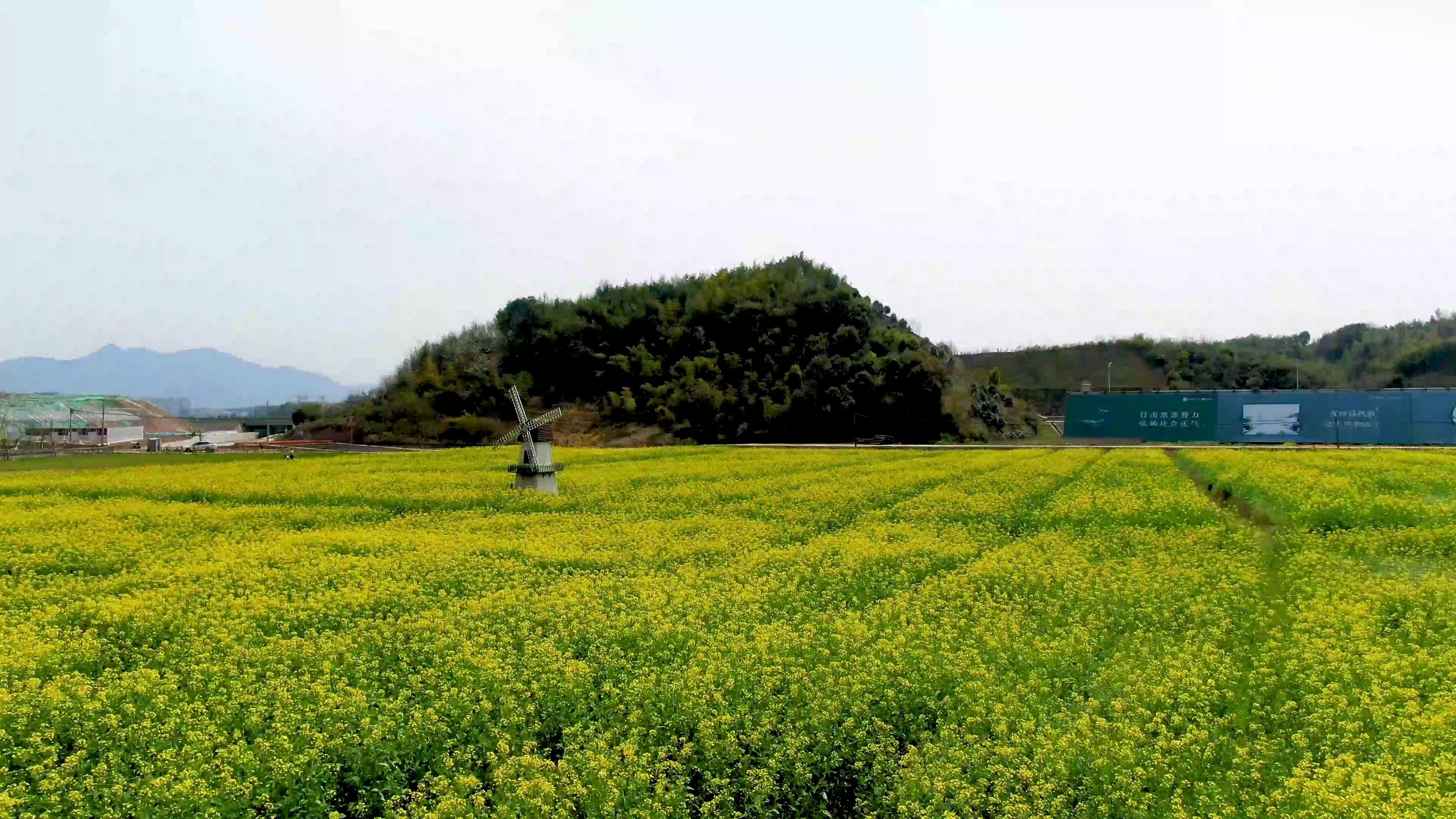 航拍宁波:奉化区新造社区大爱书院前的油菜花开花了