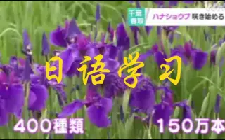 香取市 搜索结果 哔哩哔哩 Bilibili