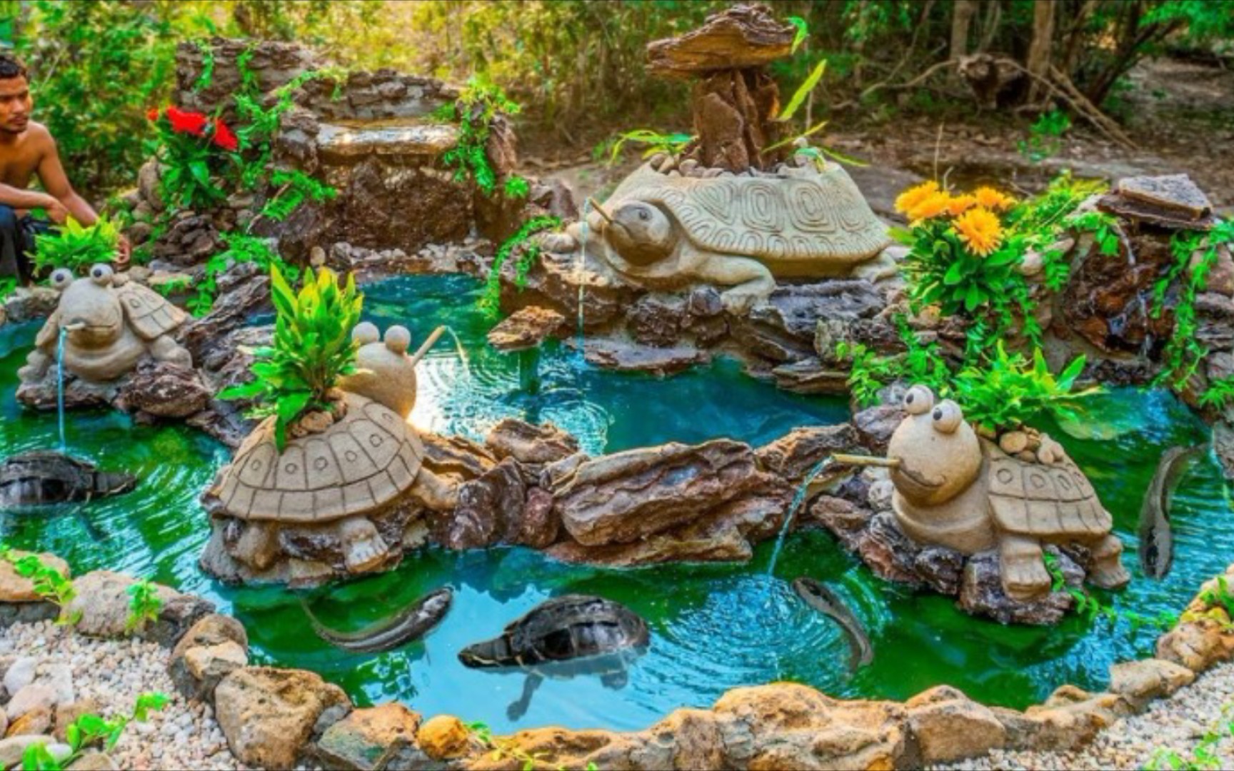 十大龟池设计图片图片