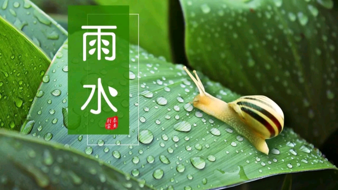 第二个节气雨水