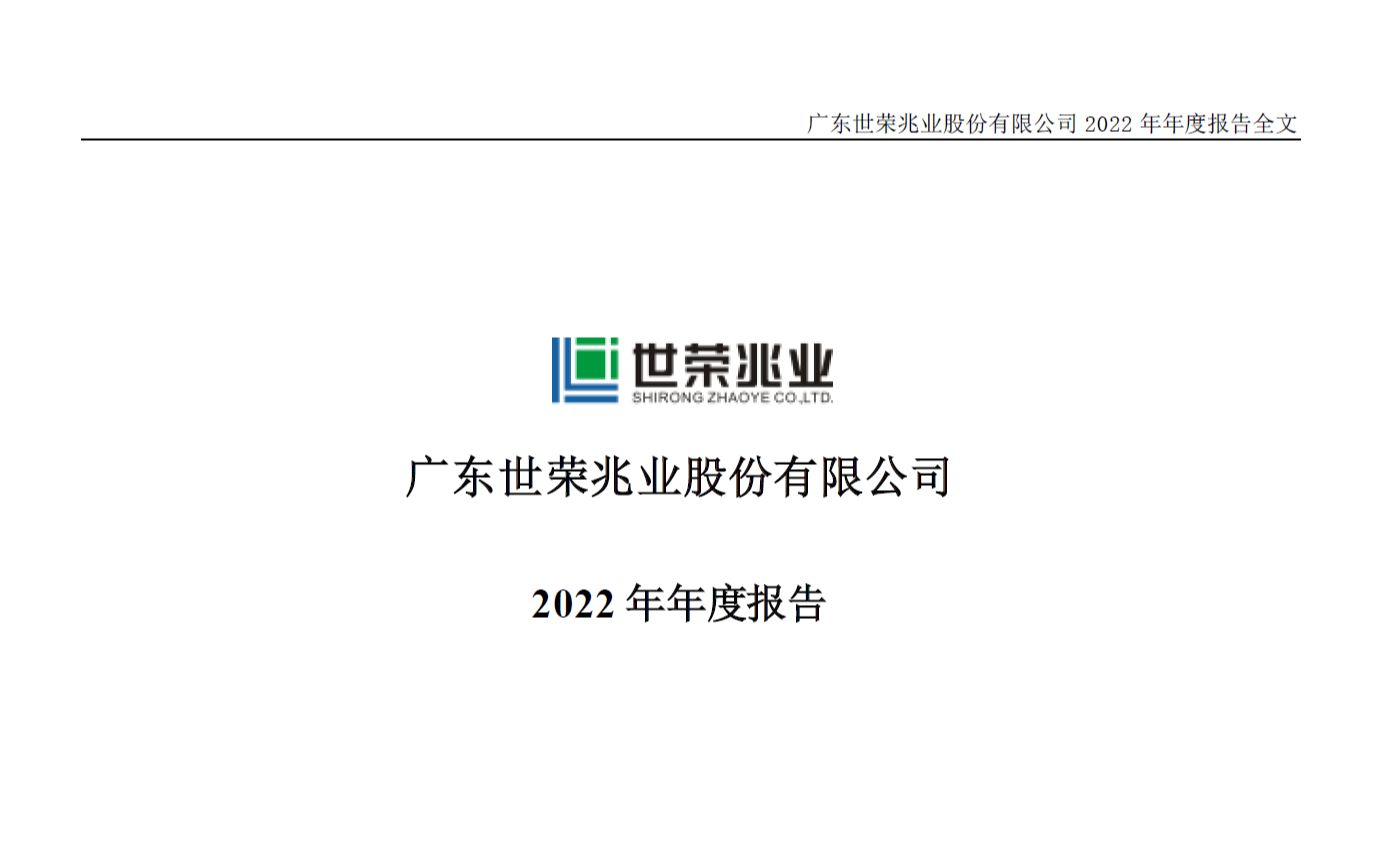 世荣兆业2022年年度报告管理层讨论与分析哔哩哔哩bilibili