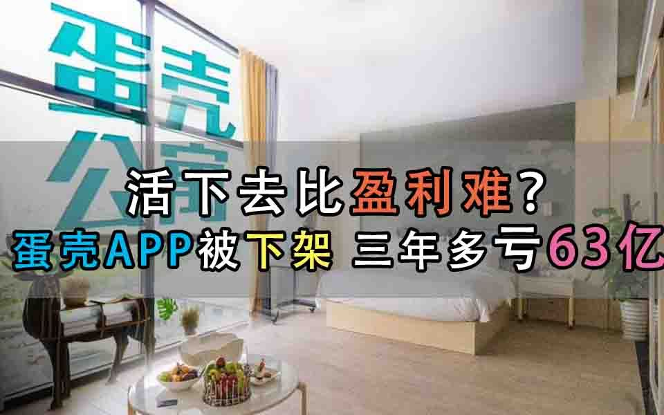 【财经新闻】活下去比盈利难?蛋壳APP被下架 三年多亏63亿哔哩哔哩bilibili