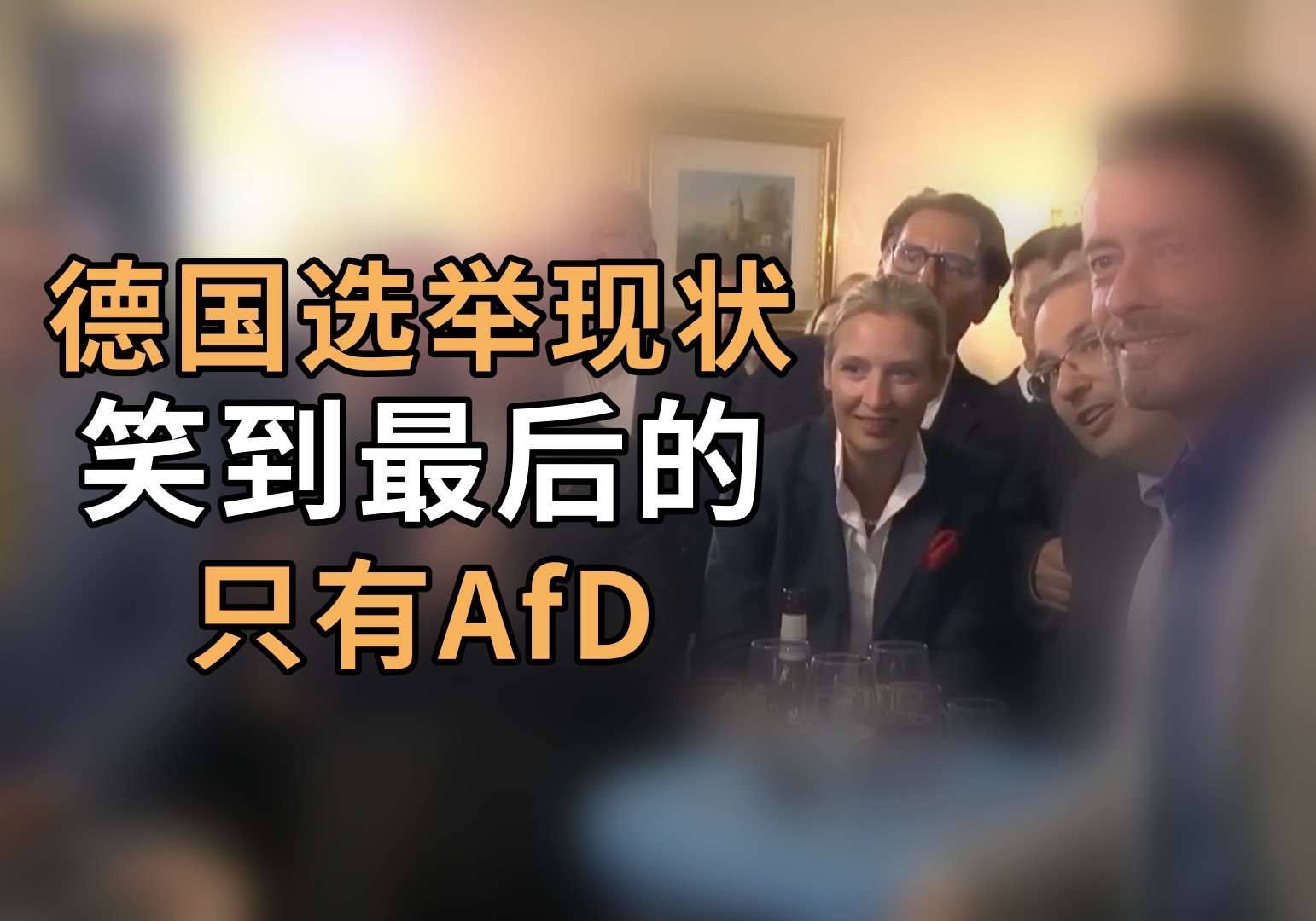 德国选举现状:笑到最后的只有afd