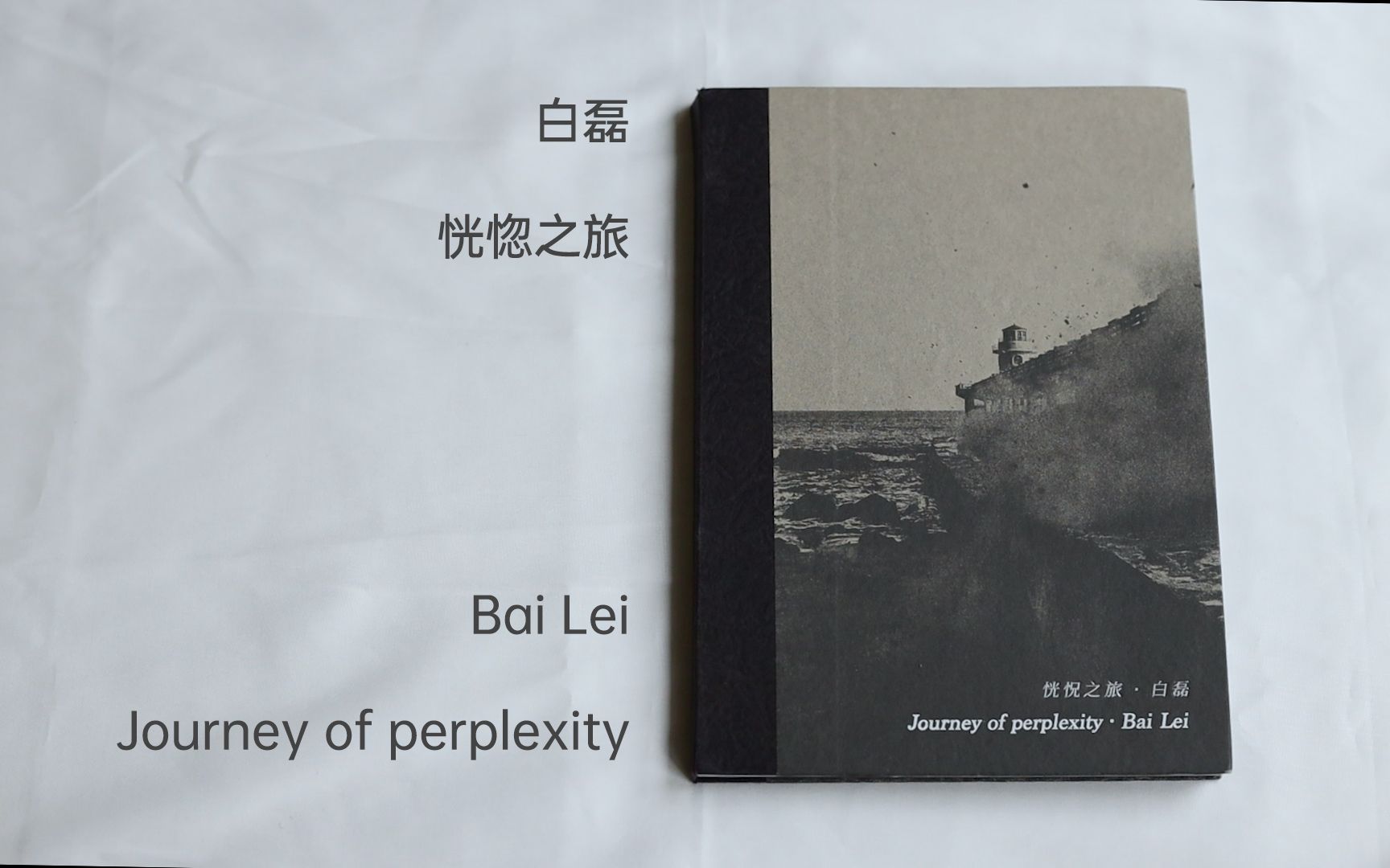 【翻书】白磊  恍惚之旅 / Bai Lei  Journey of perplexity哔哩哔哩bilibili