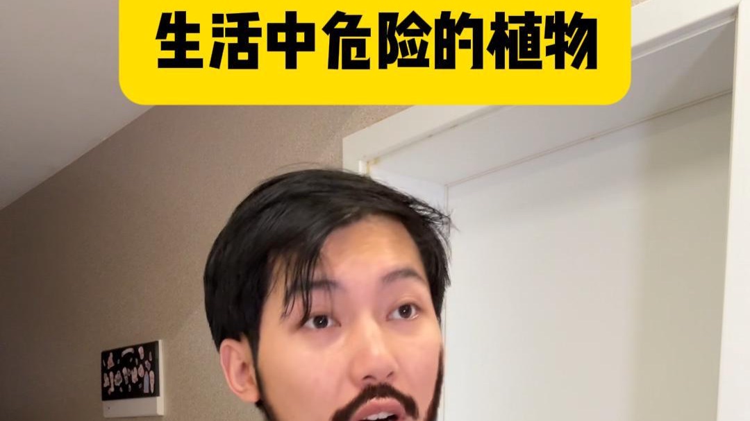 生活中危险的植物